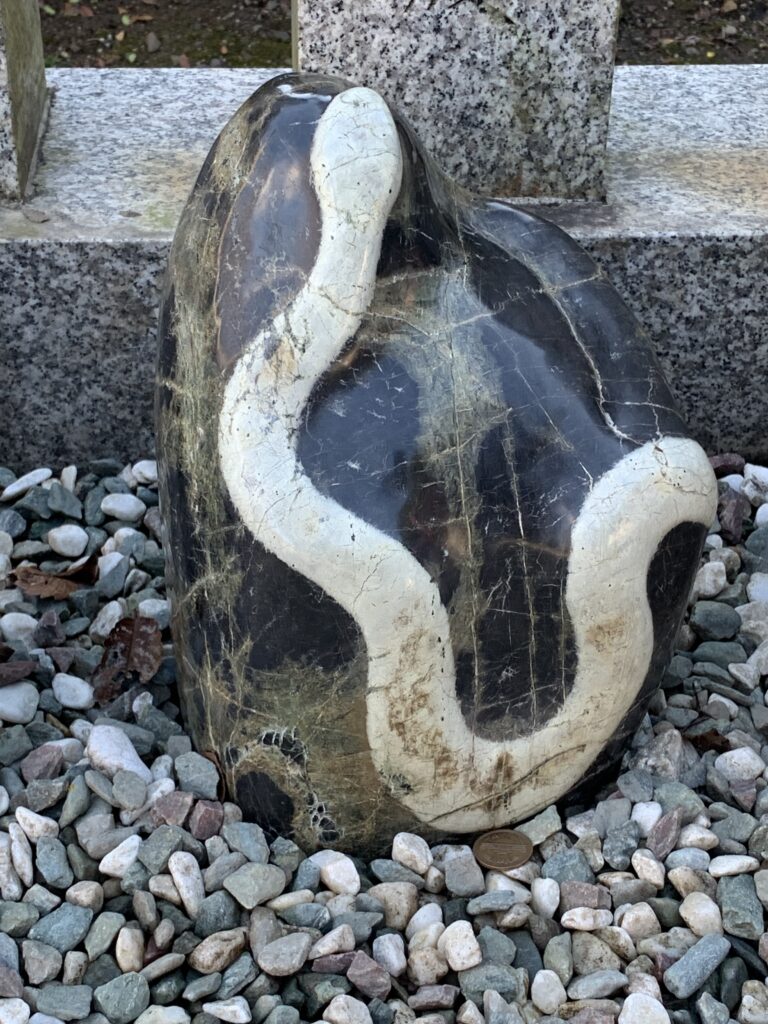 金蛇石