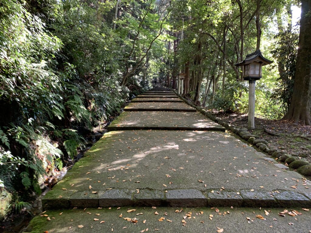 白山比咩神社　杉並木参道
